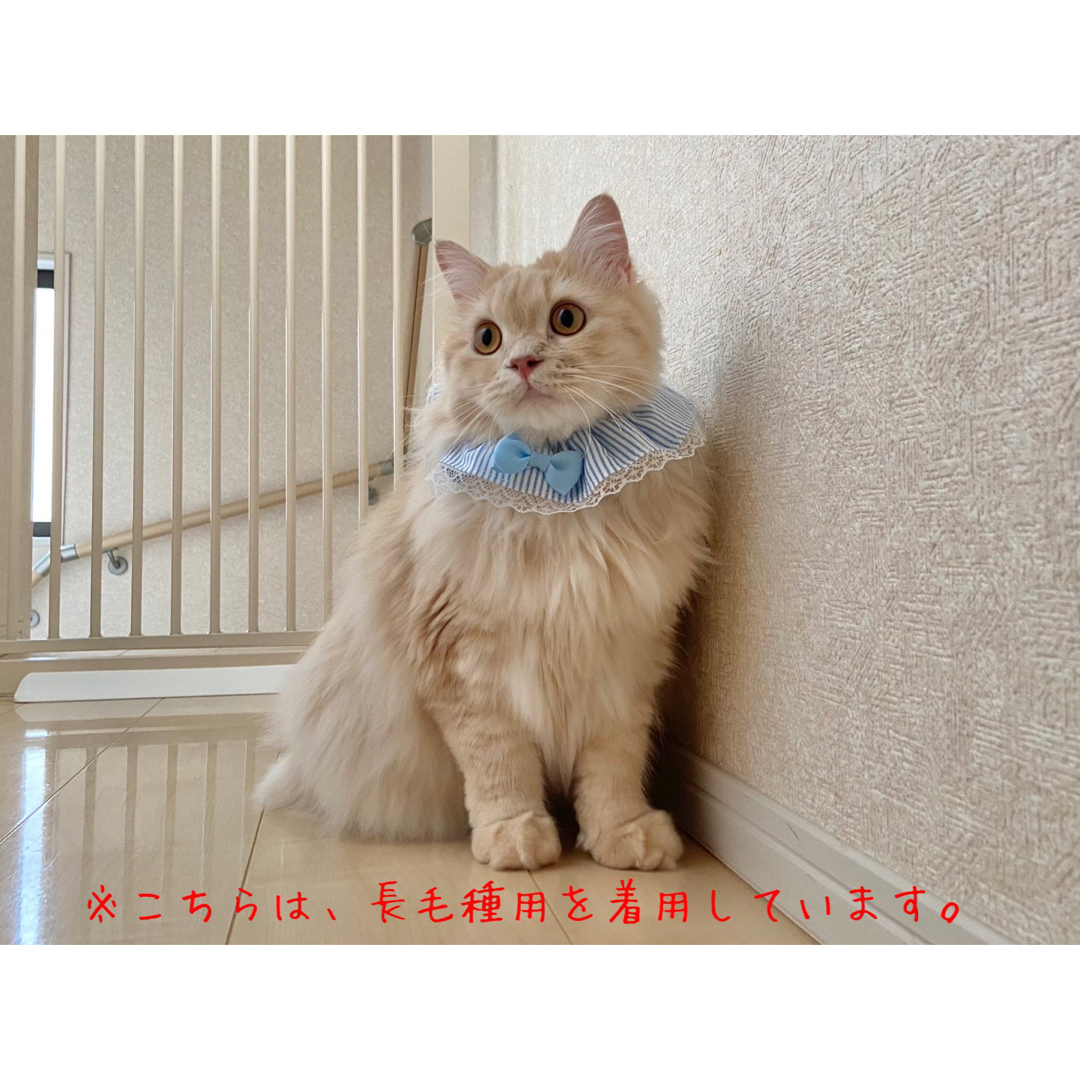 シュシュ首輪(ハロウィンA) 猫 シュシュ 首輪 かわいい ハンドメイドのペット(リード/首輪)の商品写真