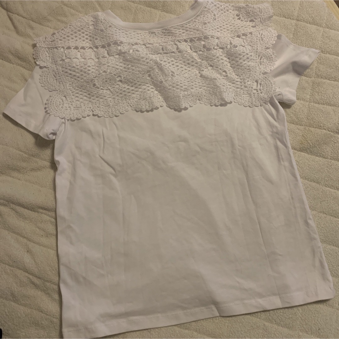 ZARA(ザラ)のZARA 襟Tシャツ レディースのトップス(Tシャツ(半袖/袖なし))の商品写真