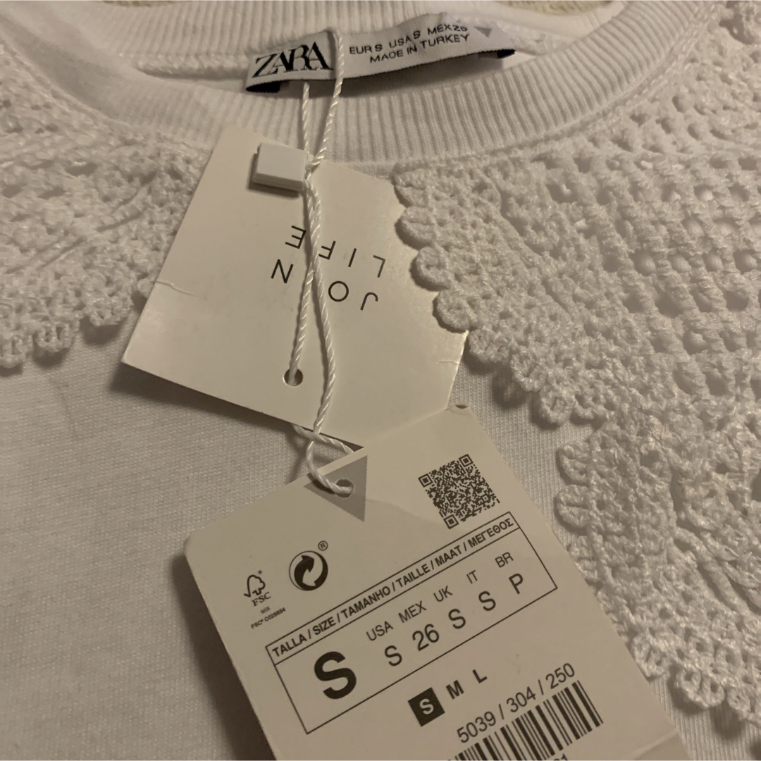 ZARA(ザラ)のZARA 襟Tシャツ レディースのトップス(Tシャツ(半袖/袖なし))の商品写真