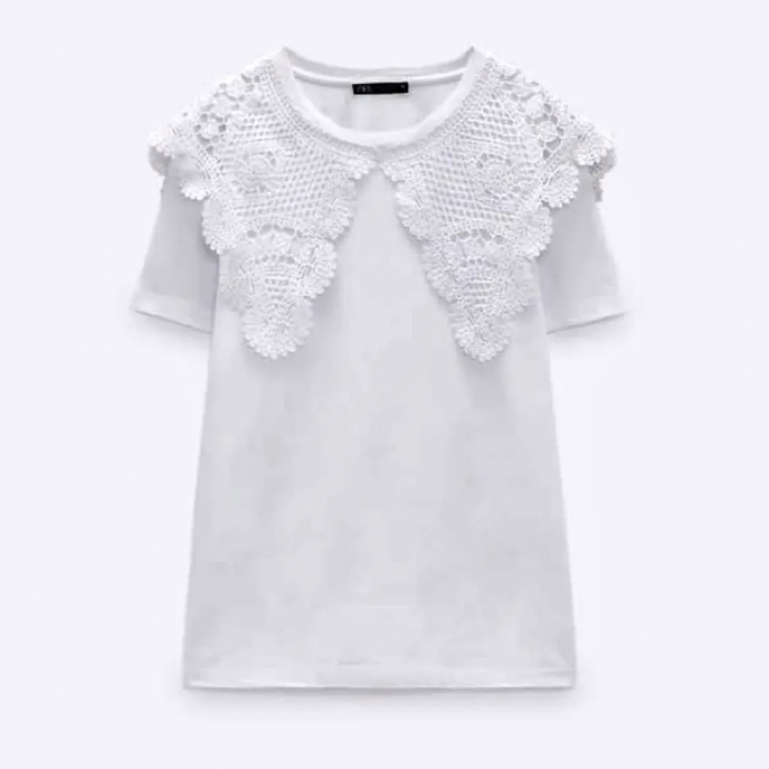 ZARA(ザラ)のZARA 襟Tシャツ レディースのトップス(Tシャツ(半袖/袖なし))の商品写真