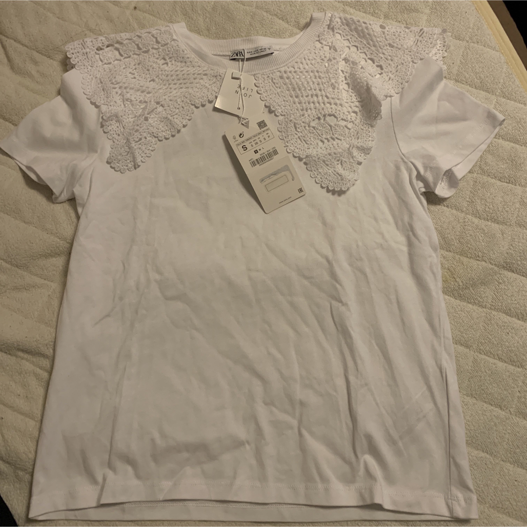 ZARA(ザラ)のZARA 襟Tシャツ レディースのトップス(Tシャツ(半袖/袖なし))の商品写真