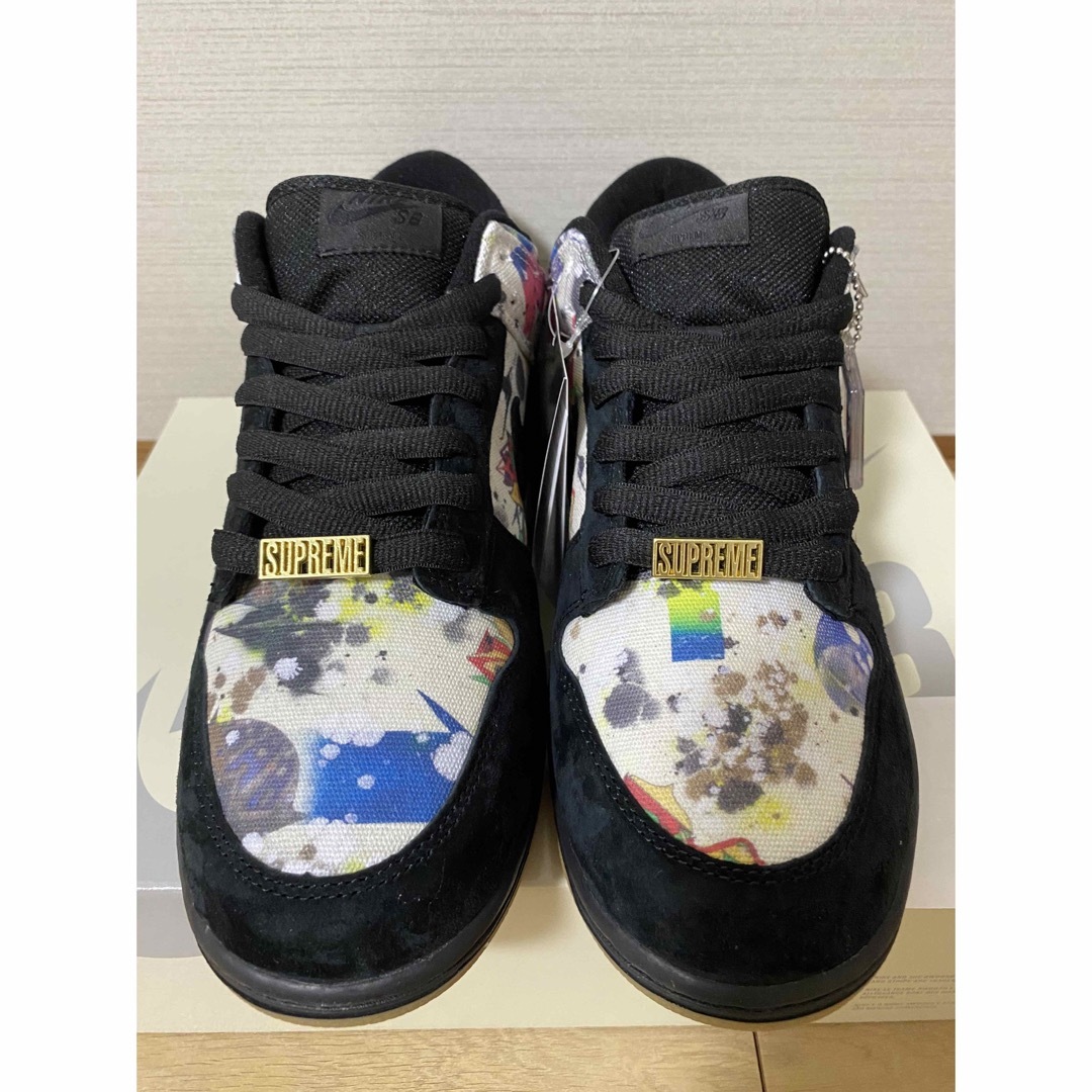 Supreme(シュプリーム)のSupreme × Nike SB Dunk Low Rammellzee メンズの靴/シューズ(スニーカー)の商品写真