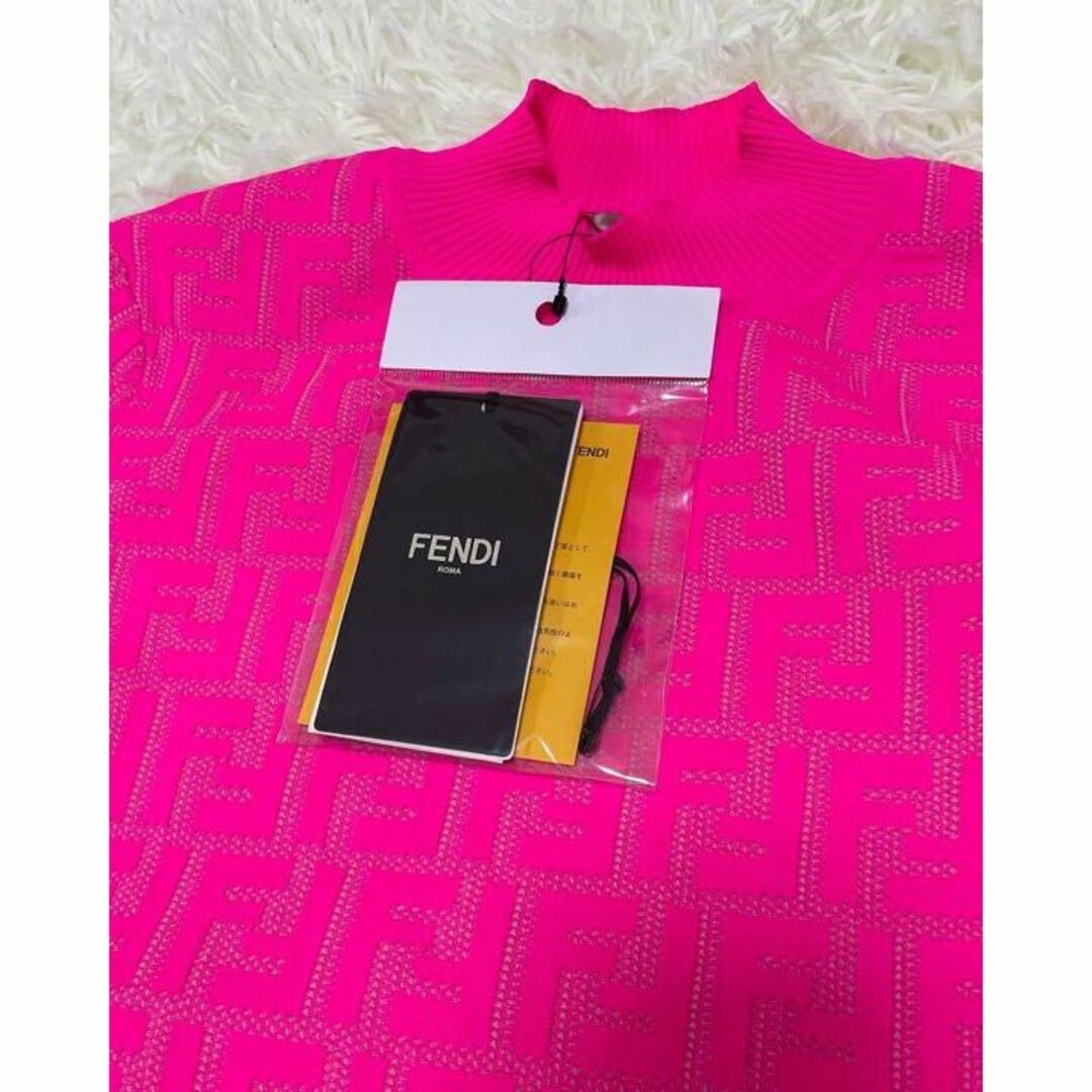FENDI - 【激レア】タグあり ニッキーミナージュ×FENDI ニット 38の