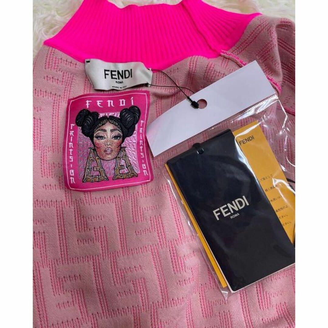 FENDI - 【激レア】タグあり ニッキーミナージュ×FENDI ニット 38の