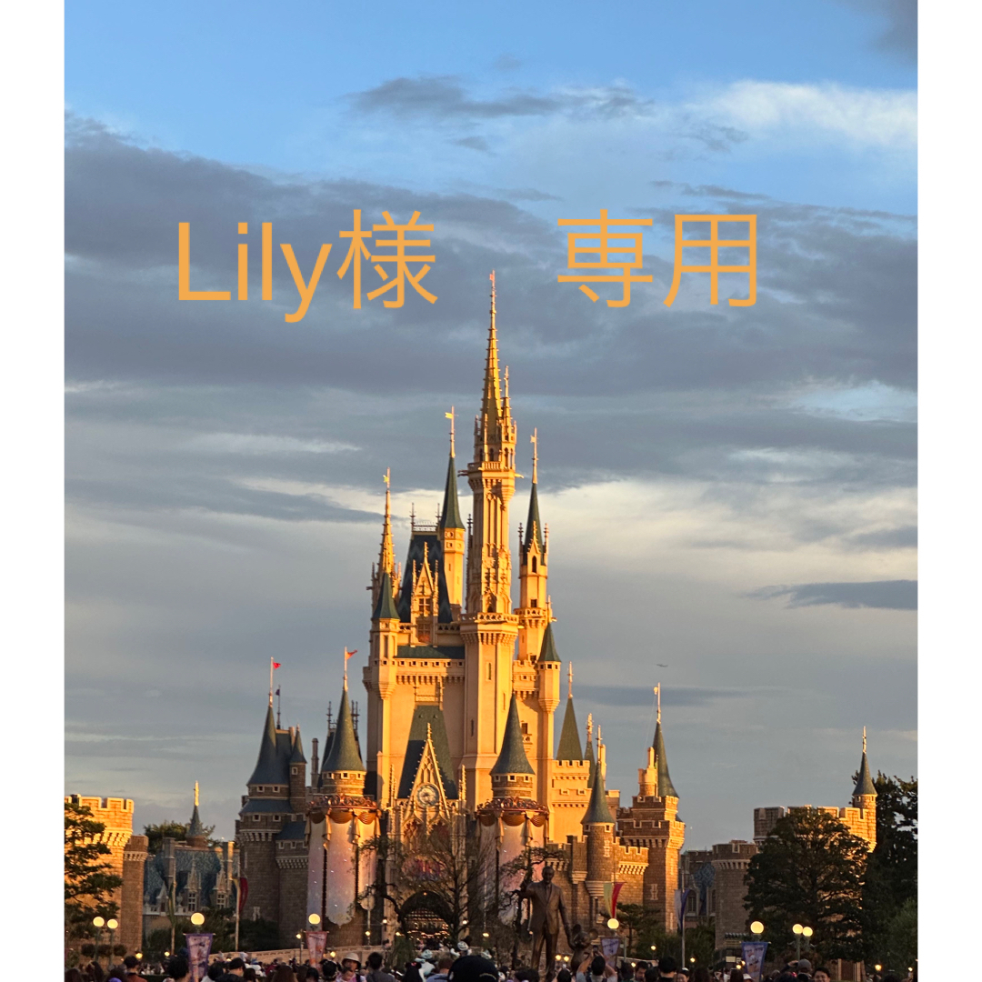 Disney(ディズニー)の【専用】ドナルド　コスチューム　80センチ エンタメ/ホビーのコスプレ(衣装)の商品写真