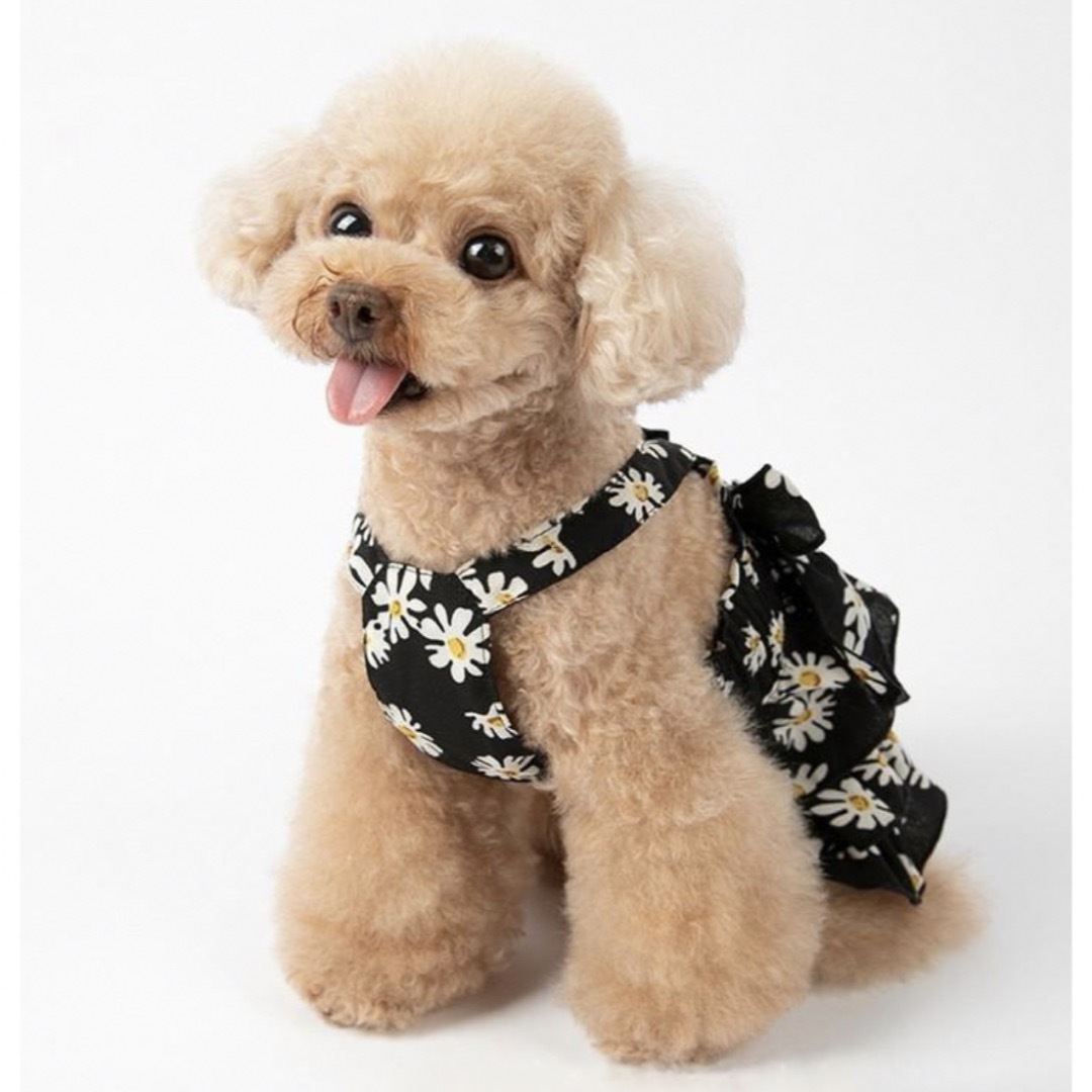 犬服 ビジューボタン花柄ワンピース 2着セットの通販 by Kiki's shop ...