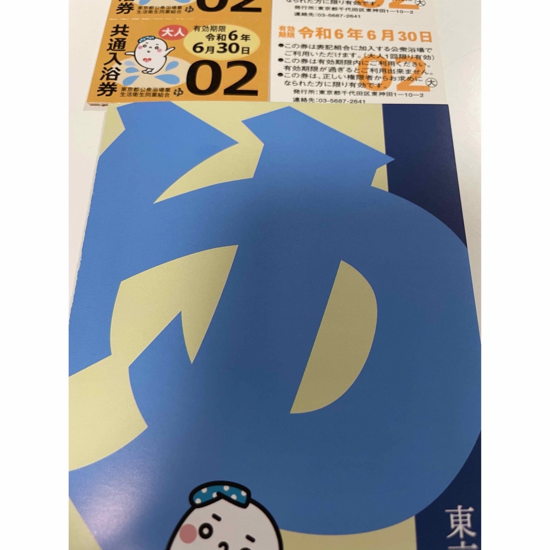 東京都　共通入浴券 大人 10枚