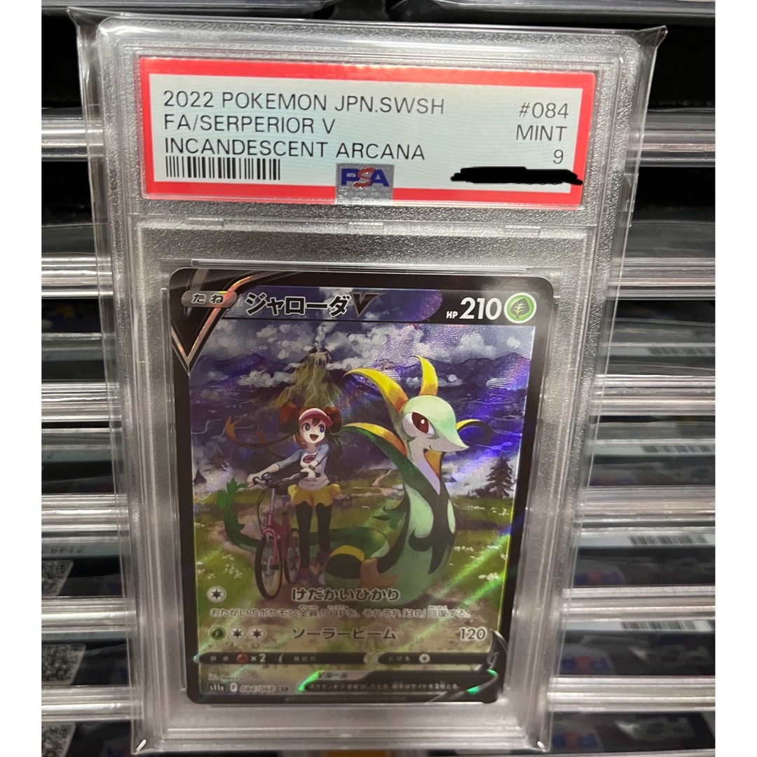 【新品】ポケモンカード　ジェローダ　SAR PSA 9