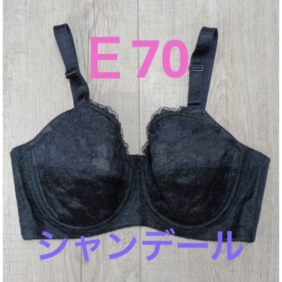 シャンデール ブラジャー Ｅ70-