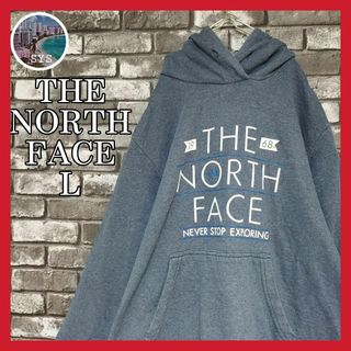 ザノースフェイス(THE NORTH FACE)のノースフェイスプルオーバーフーディーパーカースウェットトレーナー長袖デカロゴ長袖(パーカー)