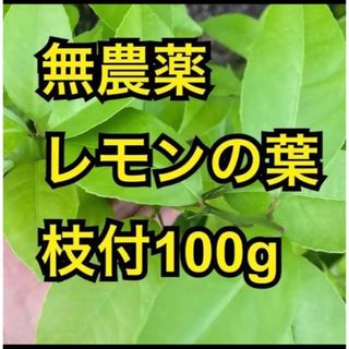 無農薬　レモンの葉　枝付100g(虫類)