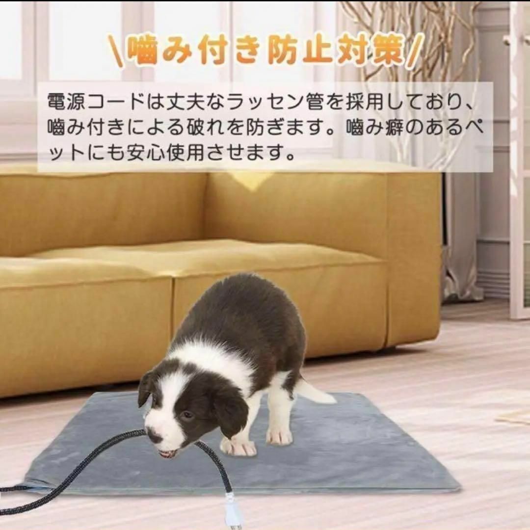 ペット ホットカーペット 電気 毛布 マット 猫 犬 うさぎ 洗濯 防水 安全