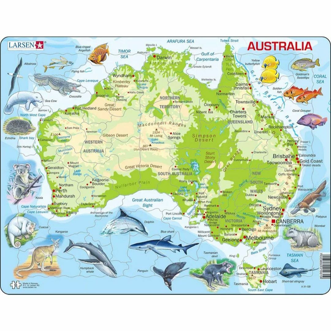 ジグソーパズル 英語 地図 オーストラリア パズル 世界地図 地理 生き物 小学