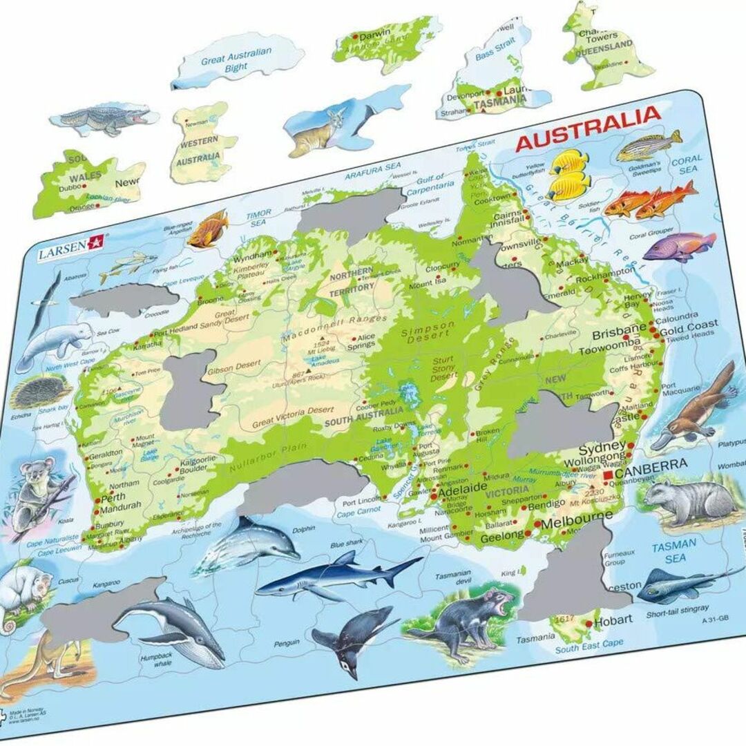 ジグソーパズル 英語 地図 オーストラリア パズル 世界地図 地理 生き物 小学 4