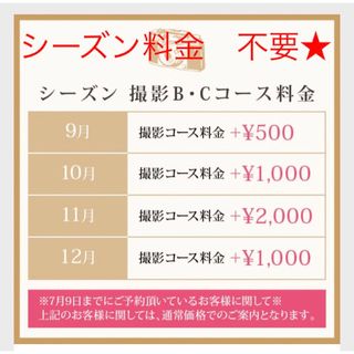 studioarc 選べるフォト撮影 Bコース 利用券 撮影券 スタジオアークの