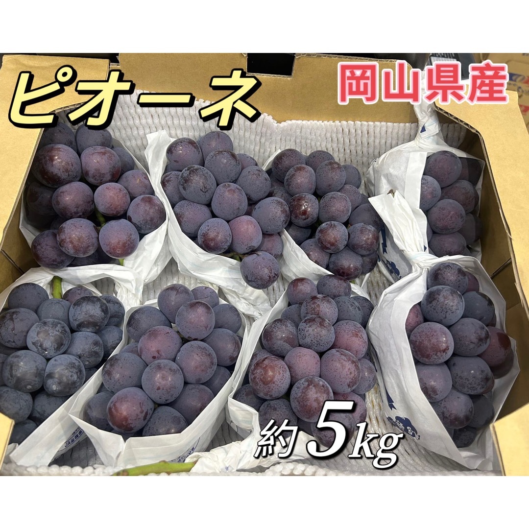 岡山県産　フルーツ　ピオーネ　約5kg