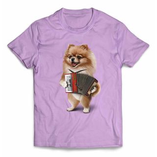 オレンジ ポメラニアン いぬ 犬 アコーディオン 半袖 Tシャツ(Tシャツ/カットソー(半袖/袖なし))