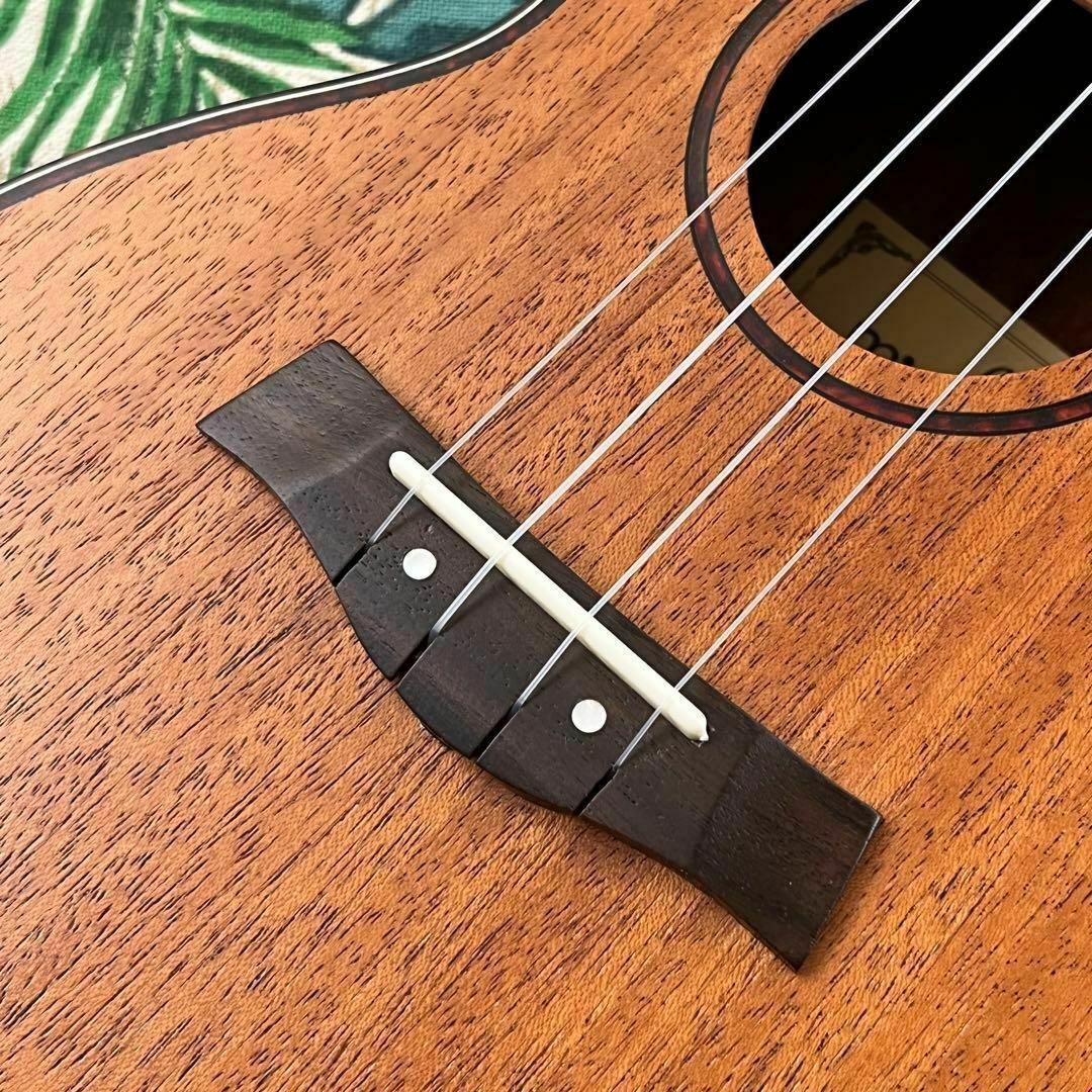 【music ukulele】カッタウェイのエレキ・コンサートウクレレ【付属有】 2