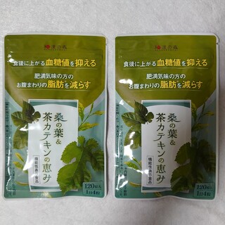 【新品・未開封】和漢の森 桑の葉＆茶カテキンの恵み 120粒 × 3袋セット
