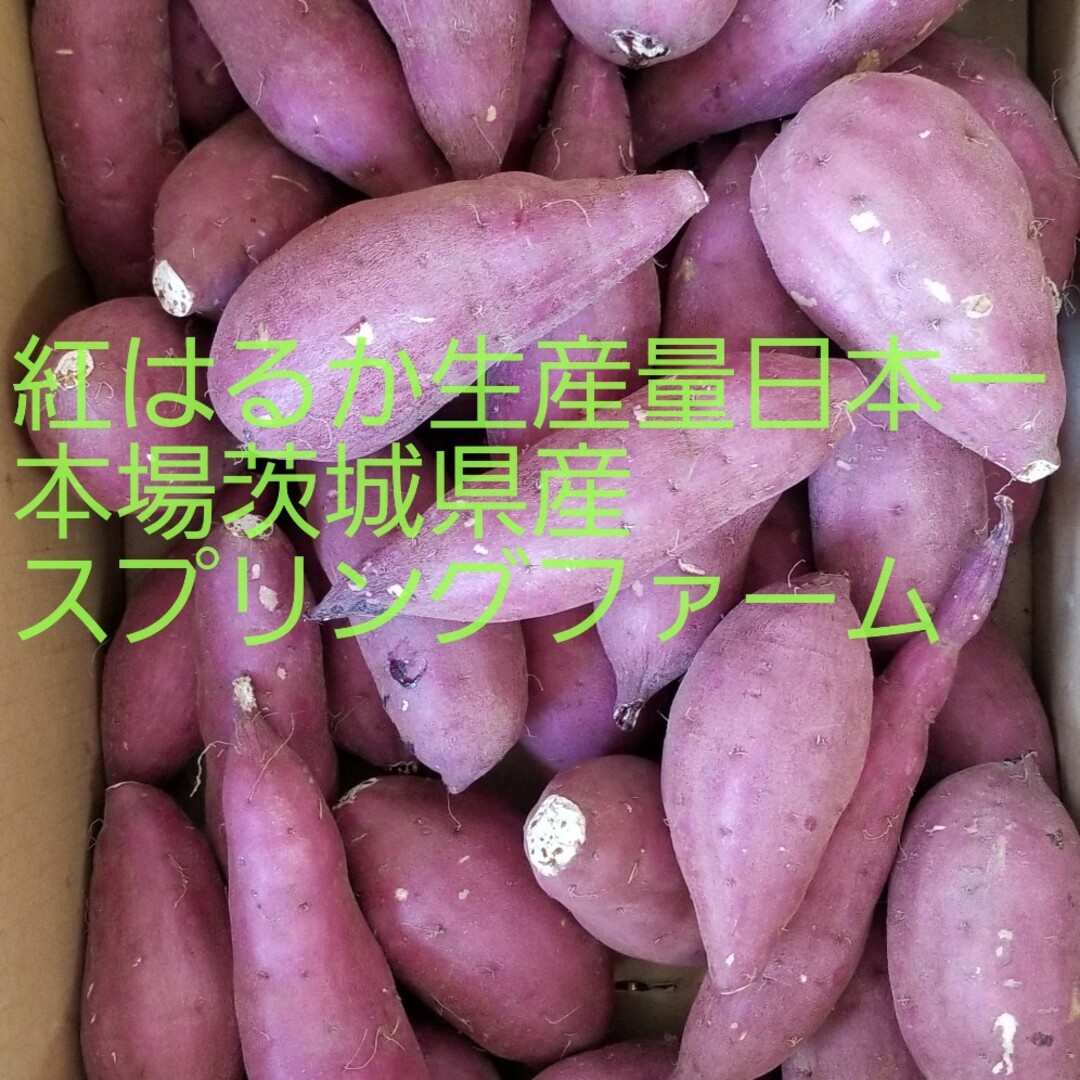 Sサイズ秀品24㌔重量おまけ付R4年紅はるか土付茨城県減農薬栽培さつまいも