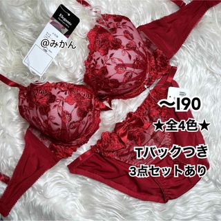 再入荷✨♥️ビビッドワンカラーローズブラショーツセット(ブラ&ショーツセット)