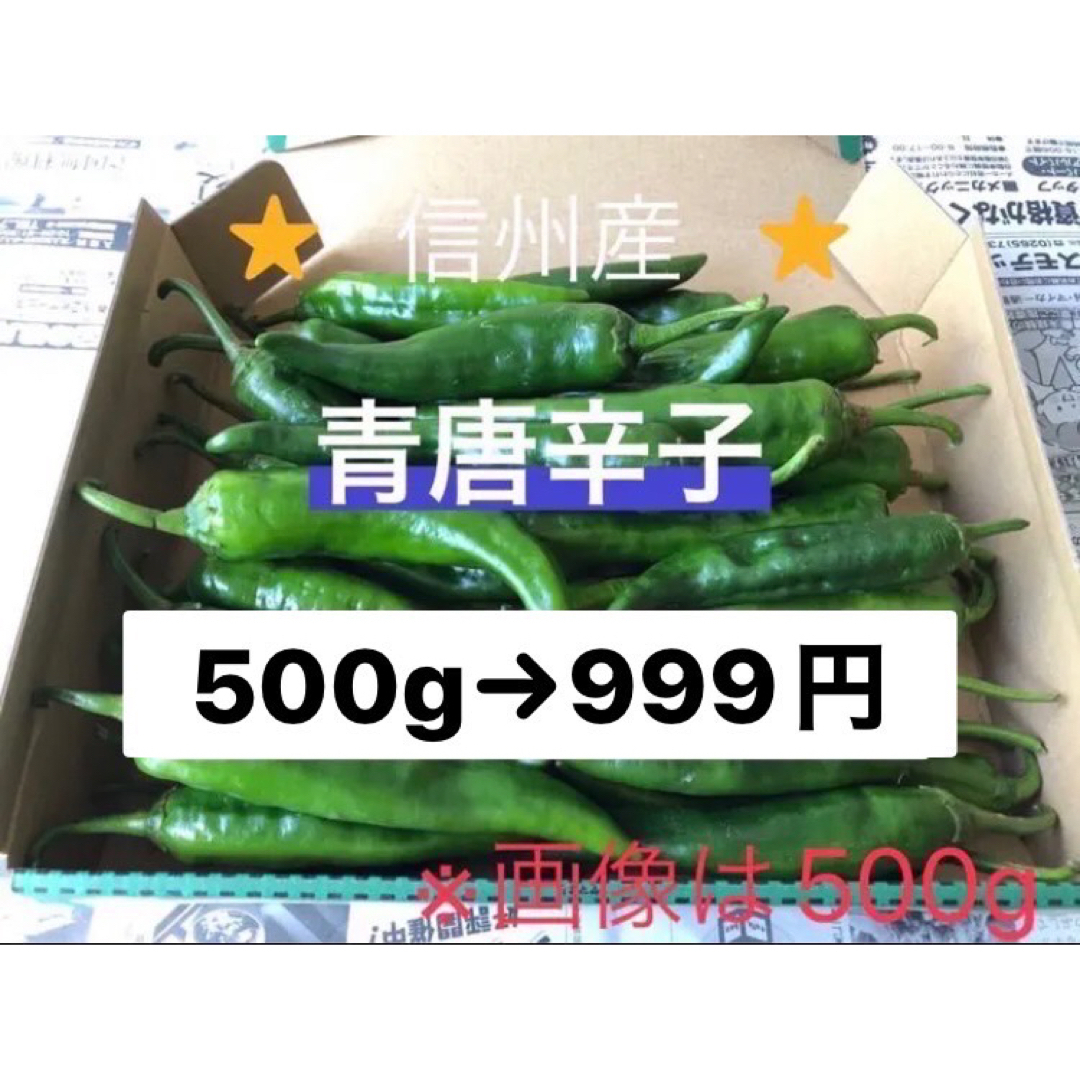 激辛 青唐辛子 (辣妹子)13kg 長野県産 無農薬。 - 野菜