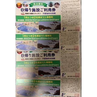 藤田観光株主優待券(日帰り施設ご利用券×4枚)(遊園地/テーマパーク)