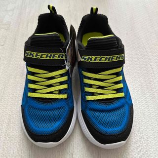 スケッチャーズ グラデーションの通販 7点 | SKECHERSを買うならラクマ