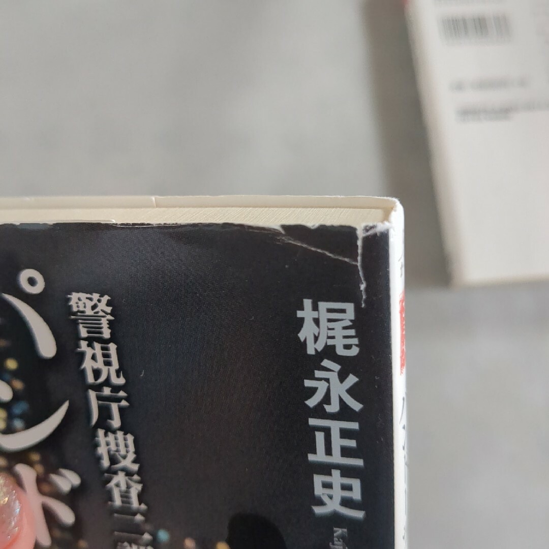 宝島社(タカラジマシャ)の特命指揮官 警視庁捜査二課・郷間シリーズ エンタメ/ホビーの本(その他)の商品写真