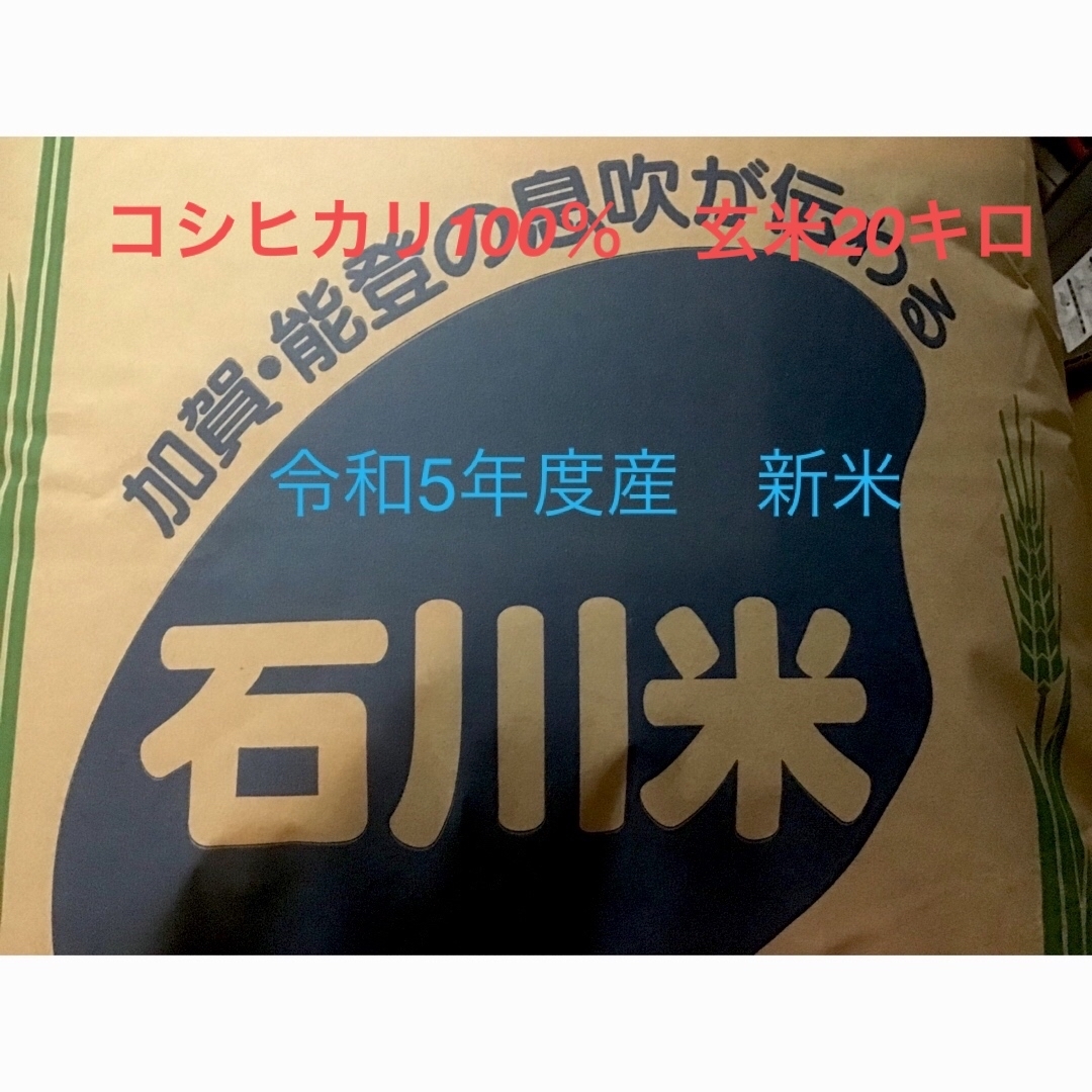 米/穀物　石川県産コシヒカリ　玄米20キロ
