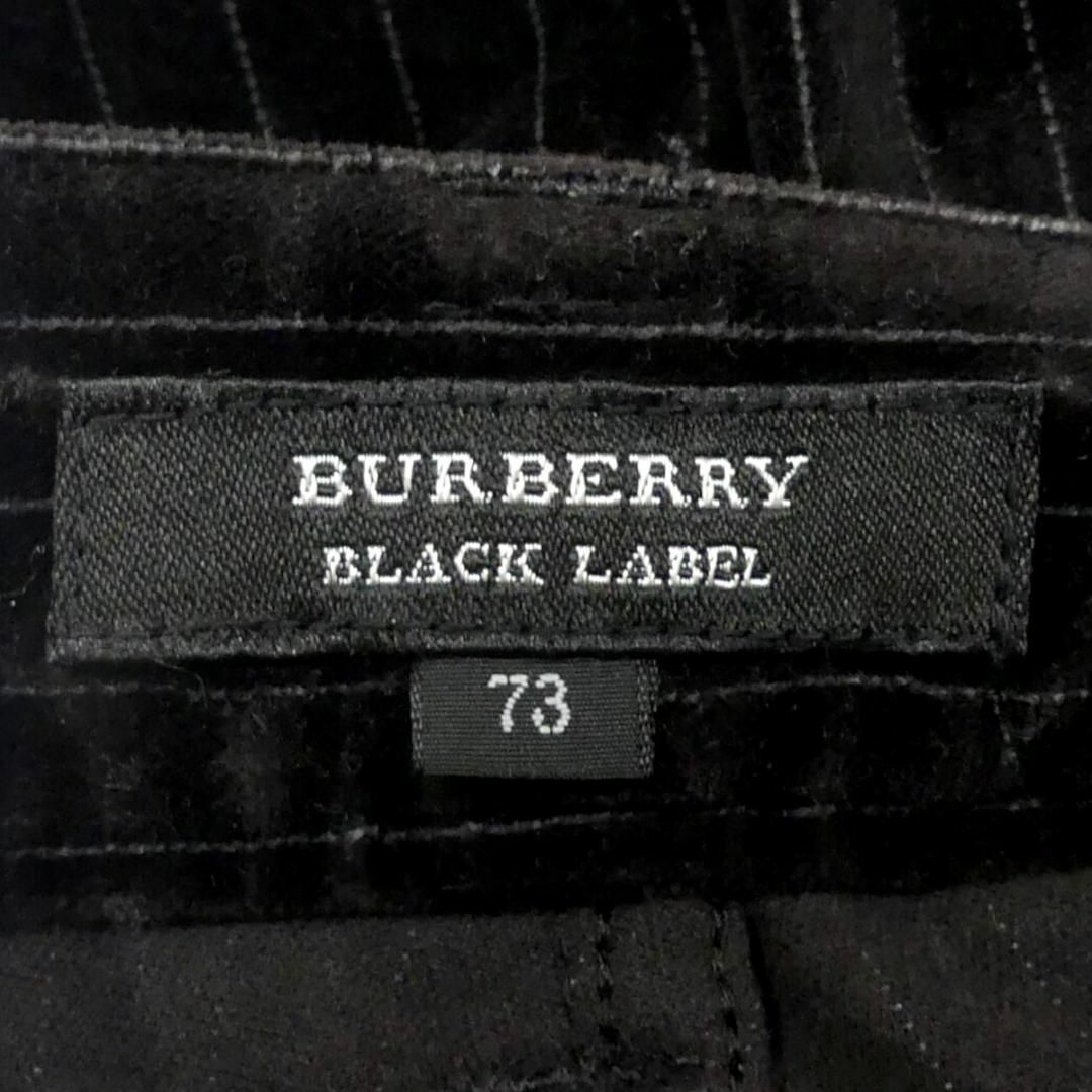 BURBERRY BLACK LABEL(バーバリーブラックレーベル)の廃盤 バーバリーブラックレーベル W30 ベロア ストライプパンツ SJ1758 メンズのパンツ(スラックス)の商品写真