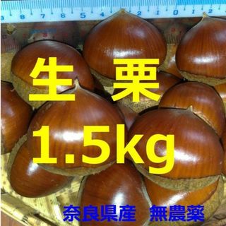 生栗1.5kg以上　奈良県産　無農薬(フルーツ)