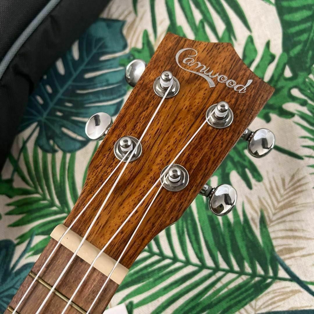 camwood ukulele】チーク材のエレキ・ソプラノウクレレ【セット付】の