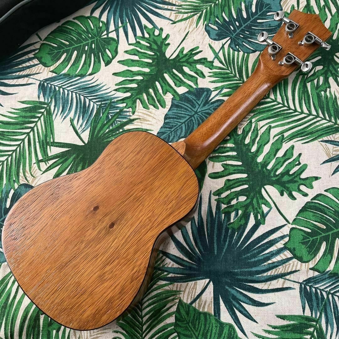 camwood ukulele】チーク材のエレキ・ソプラノウクレレ【セット付】の