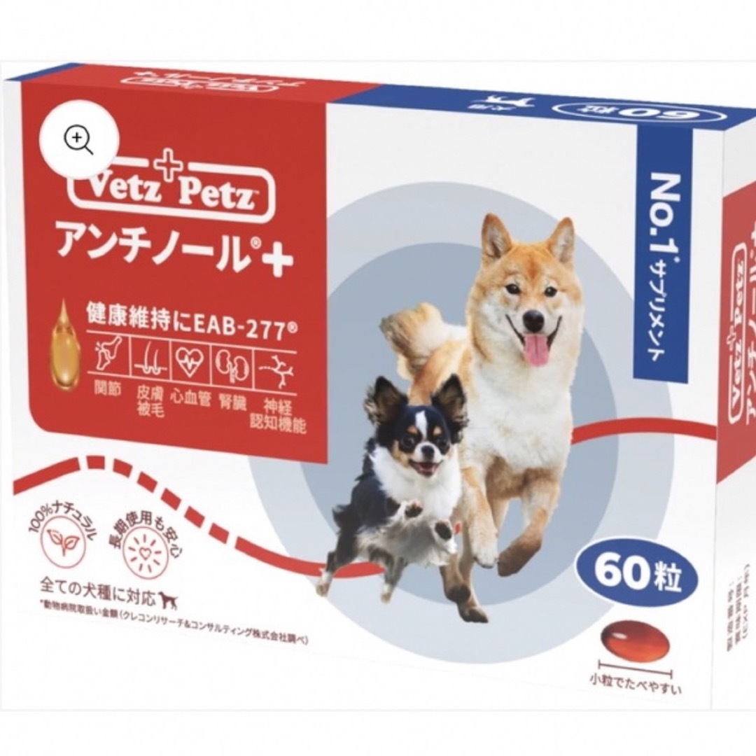 犬用　アンチノールプラス60粒