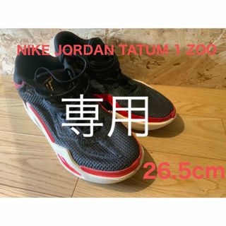 ジョーダン(Jordan Brand（NIKE）)のNIKE JORDAN TATUM 1 ZOO  テイタム1(バスケットボール)