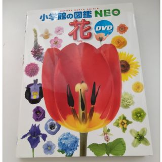 ショウガクカン(小学館)のララルル様　専用ページ　花　小学館の図鑑NEO　DVDつき　図鑑(絵本/児童書)