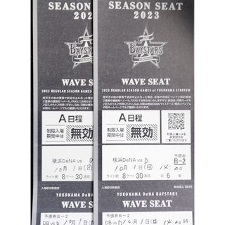 9月25日(月)横浜DeNAベイスターズvs巨人外野通路側含む連番2枚