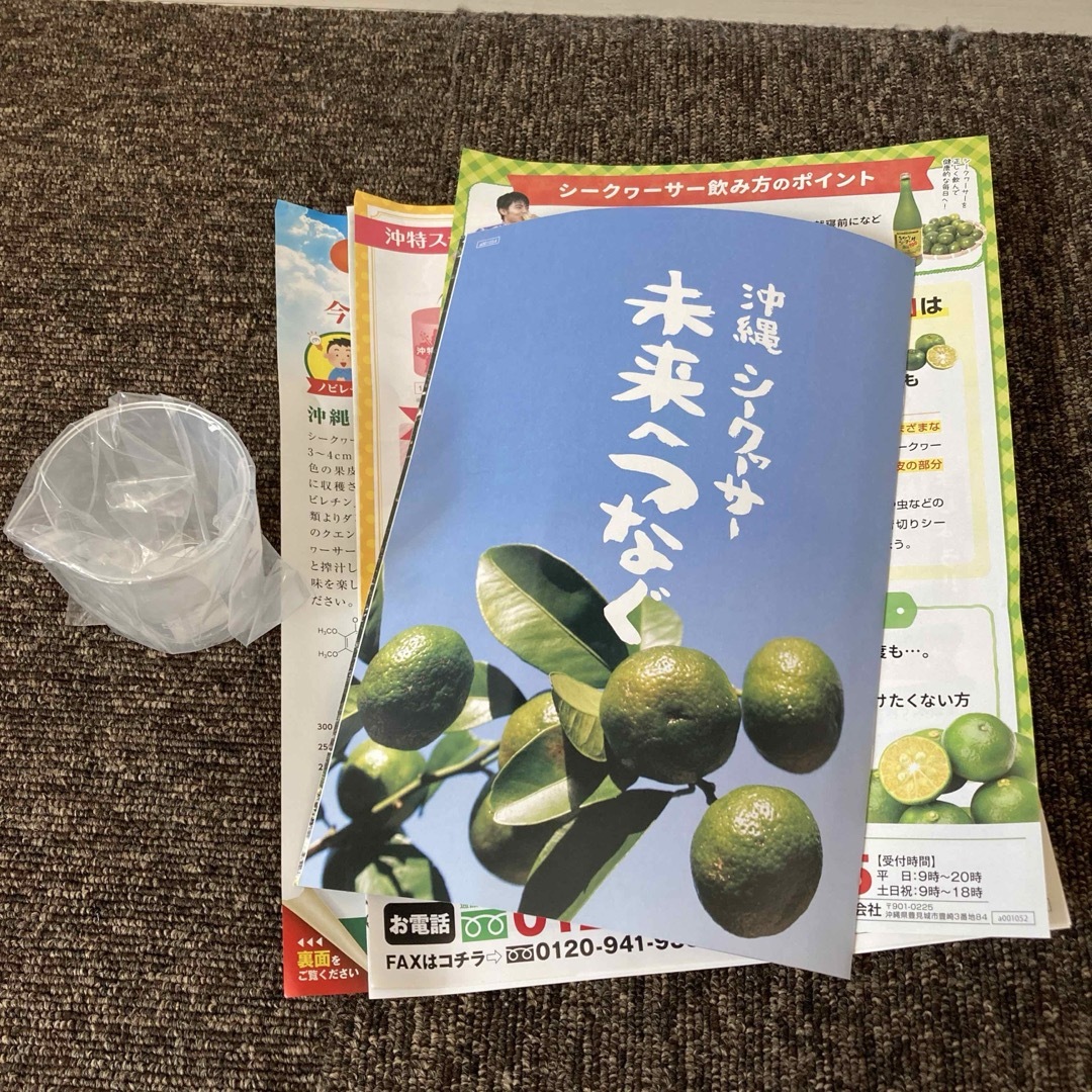 【新品・未開封】青切りシークワーサー ザ・プレミアム100 3本セット 2