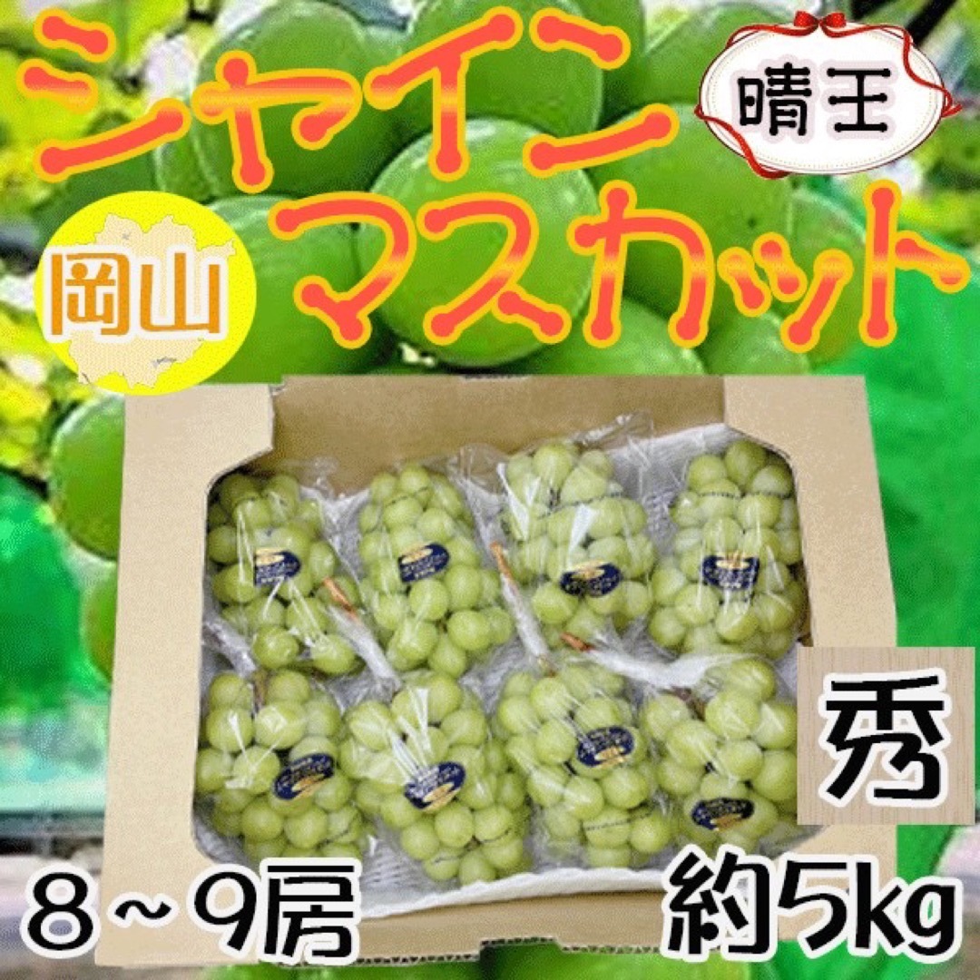 岡山県産　晴王　8〜9房　約5キロ　秀品　クール便発送