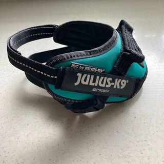 ユリウス(JULIUS)のユリウスk9ハーネス　ガソリングリーン　xs Mini-Mini ミニミニ(犬)