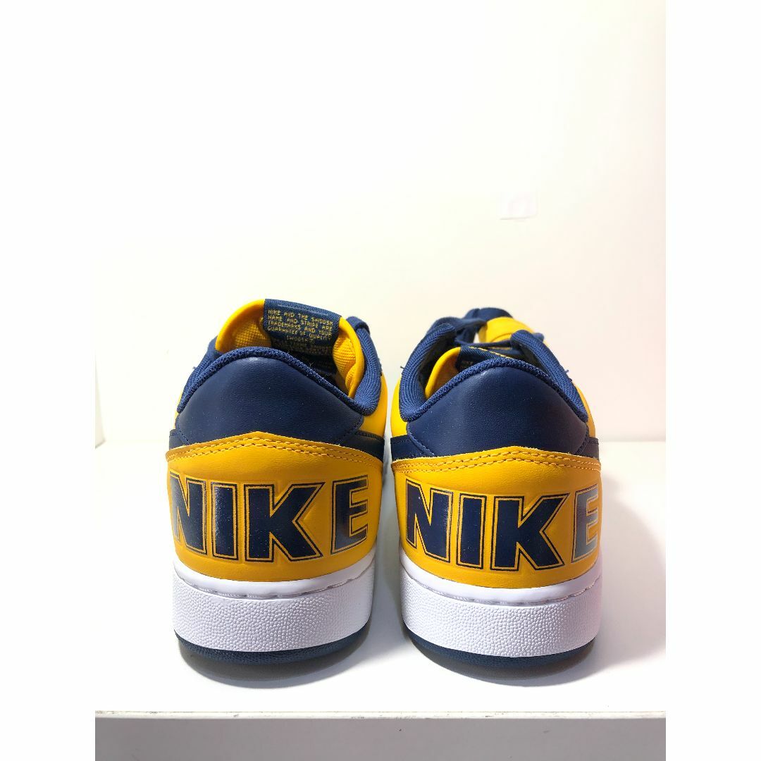 530962●  未使用 Nike Terminator Low 2