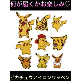 ポケモン(ポケモン)のお楽しみピカチュウアイロンワッペン/№741(各種パーツ)