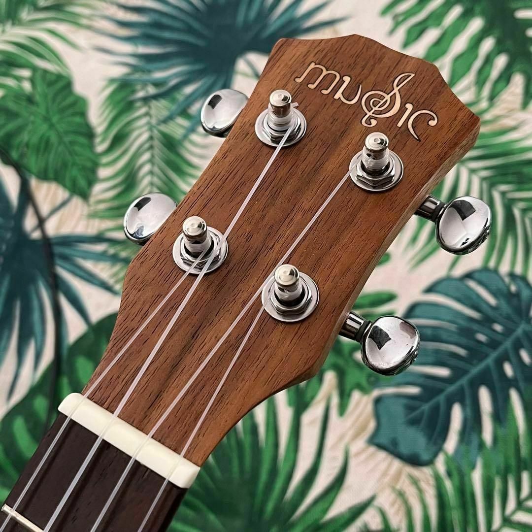 music ukulele】アカシアコアのエレキ・テナーウクレレ【入門セット ...