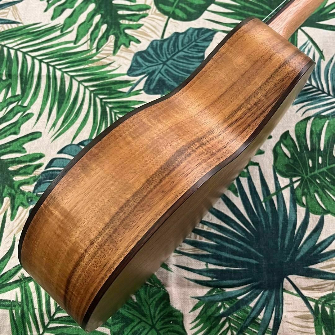 music ukulele】アカシアコアのエレキ・テナーウクレレ【入門セット
