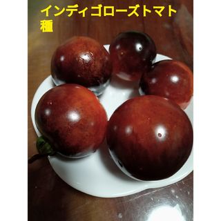 黒トマト種　インディゴローズトマト種　タネの出品(野菜)