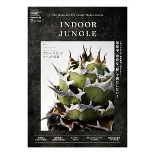 INDOOR JUNGLE（インドアジャングル） No.01(趣味/スポーツ/実用)