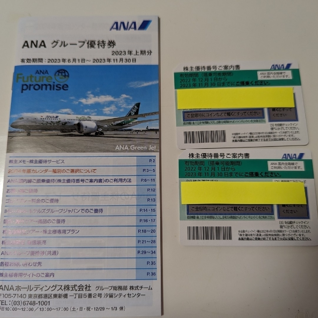 ANA 株主優待 2枚 全日空 11月30日期限