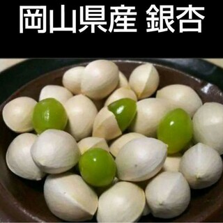 （令和5年）2023年 岡山県産 銀杏 ぎんなん 850g ギンナン 無農薬(野菜)