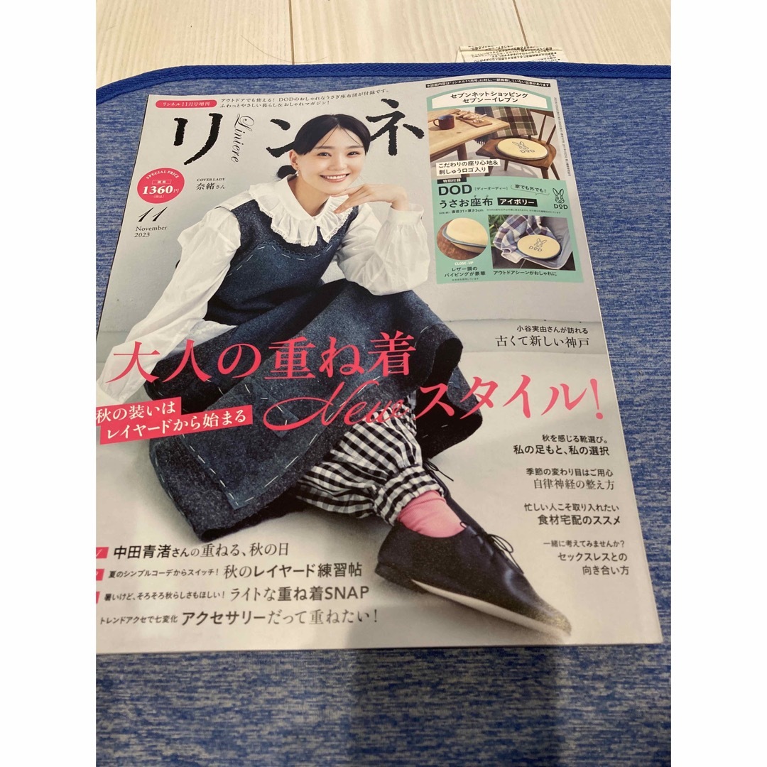 リンネル　11月号増刊号 エンタメ/ホビーの雑誌(ファッション)の商品写真